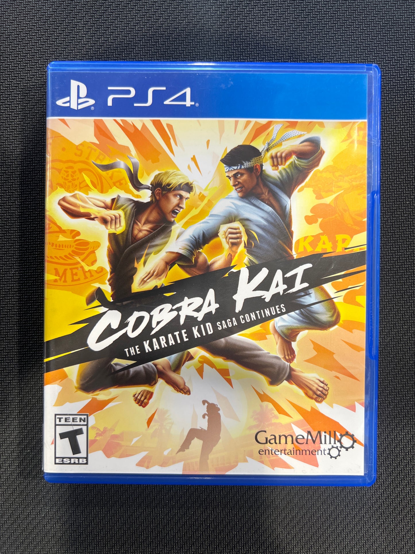 PS4: Cobra Kai: The Karate Kid Saga Continues